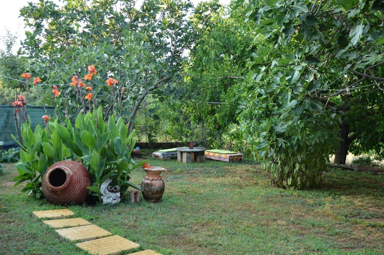 Málta Doloi Garden Houseヴィラ エクステリア 写真